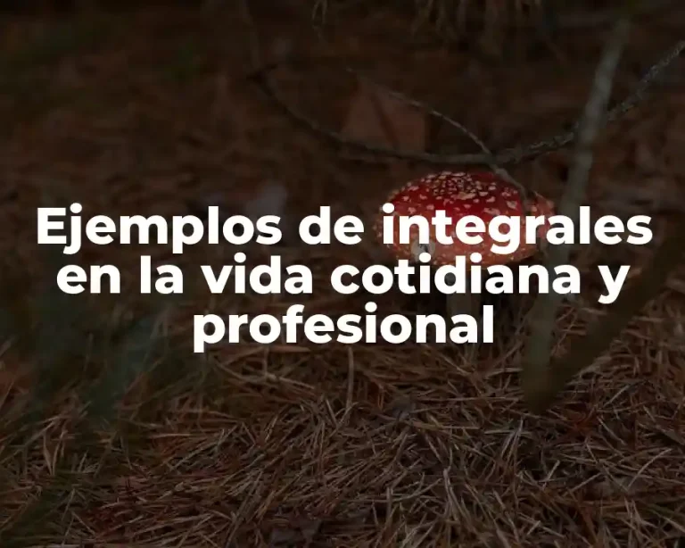 Ejemplos de integrales en la vida cotidiana y profesional