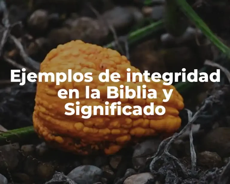 Ejemplos de integridad en la Biblia y Significado