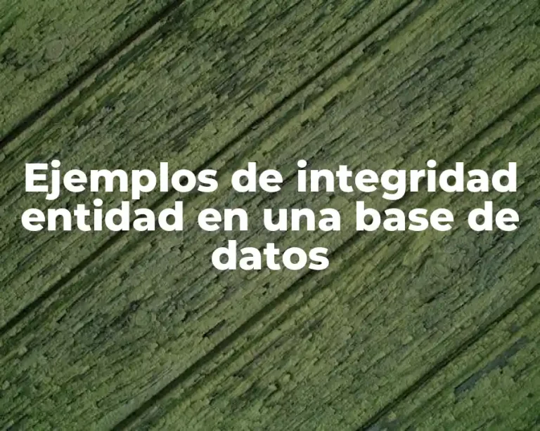 Ejemplos de integridad entidad en una base de datos