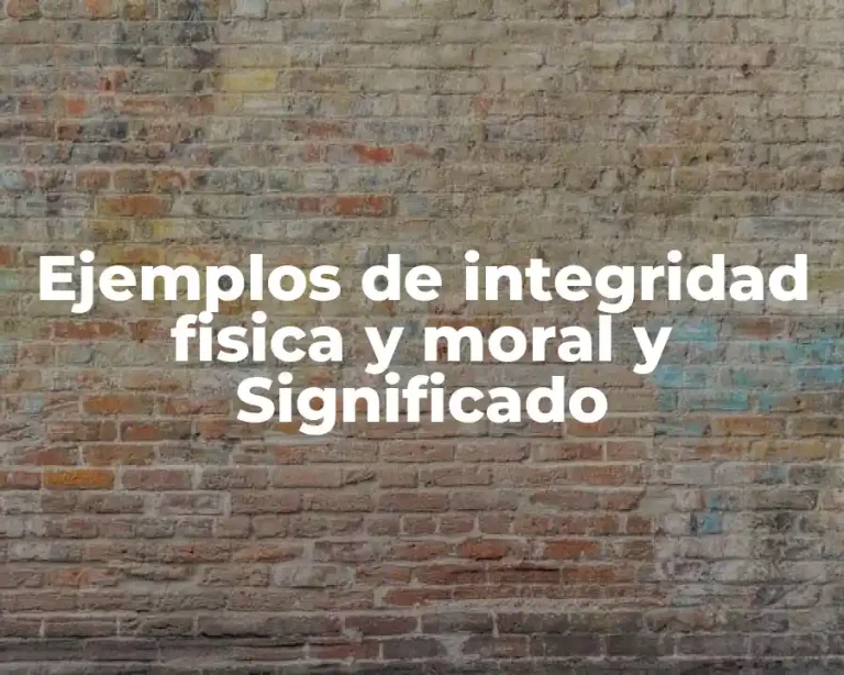 Ejemplos de integridad fisica y moral y Significado