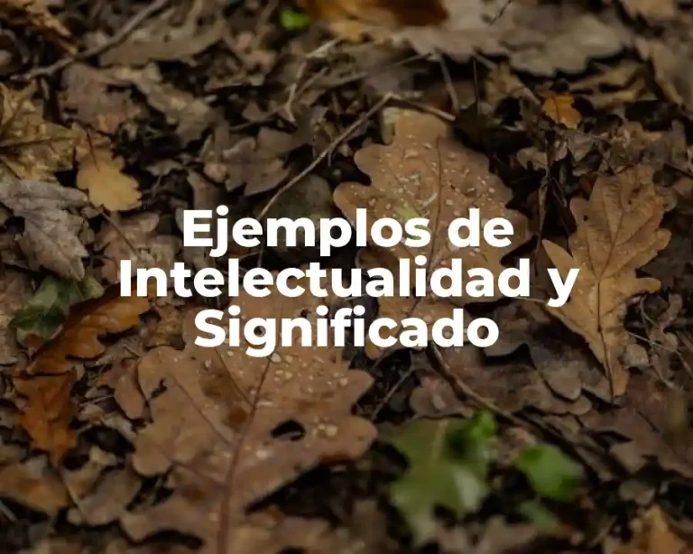 Ejemplos de Intelectualidad y Significado