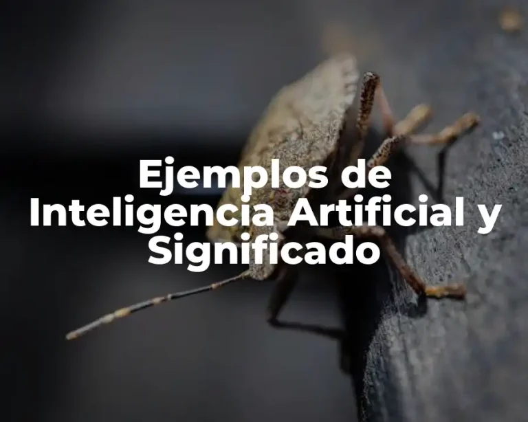 Ejemplos de Inteligencia Artificial y Significado