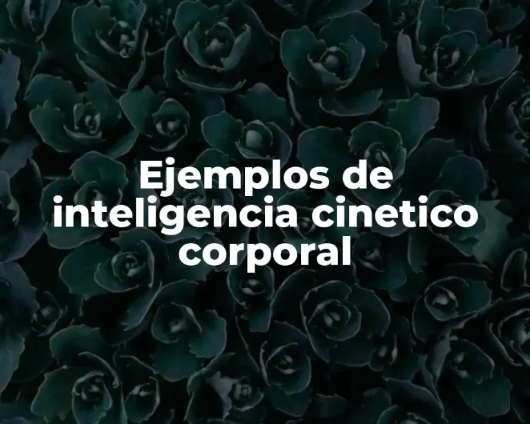 Ejemplos de inteligencia cinetico corporal