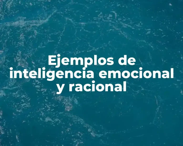 Ejemplos de inteligencia emocional y racional