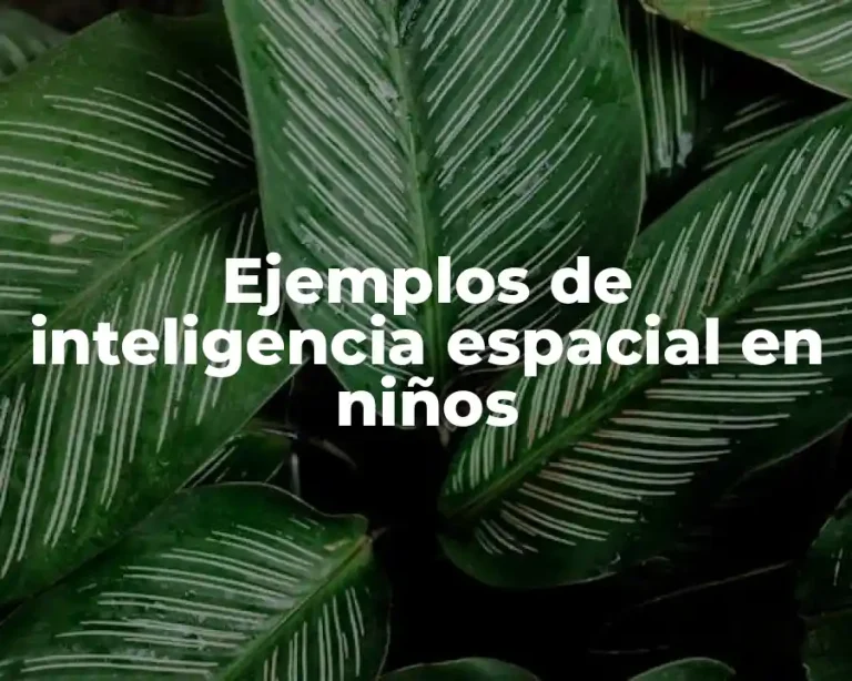 Ejemplos de inteligencia espacial en niños