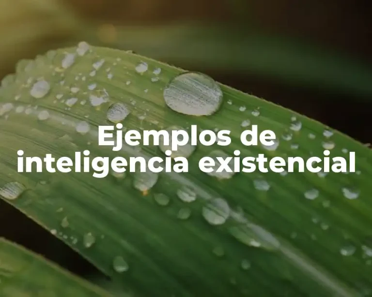 Ejemplos de inteligencia existencial