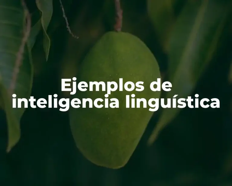 Ejemplos de inteligencia linguística