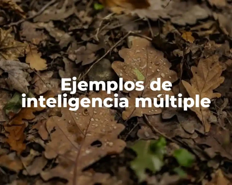 Ejemplos de inteligencia múltiple