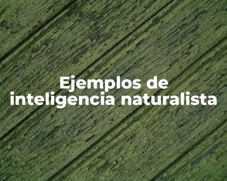 Ejemplos de inteligencia naturalista