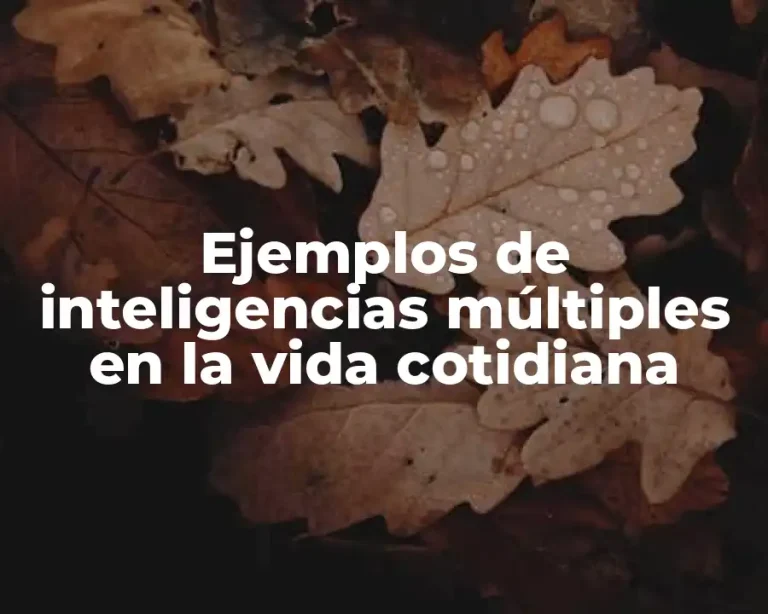 Ejemplos de inteligencias múltiples en la vida cotidiana