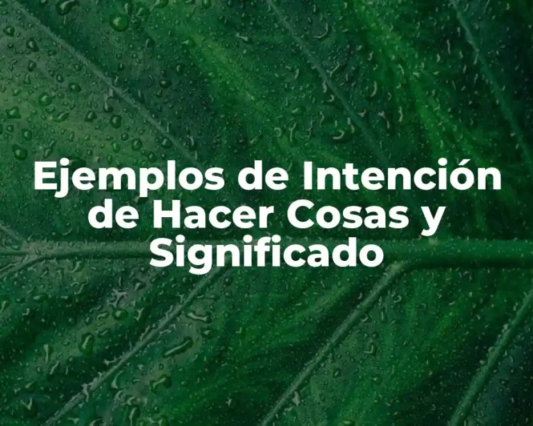 Ejemplos de Intención de Hacer Cosas y Significado