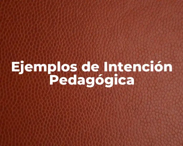 Ejemplos de Intención Pedagógica
