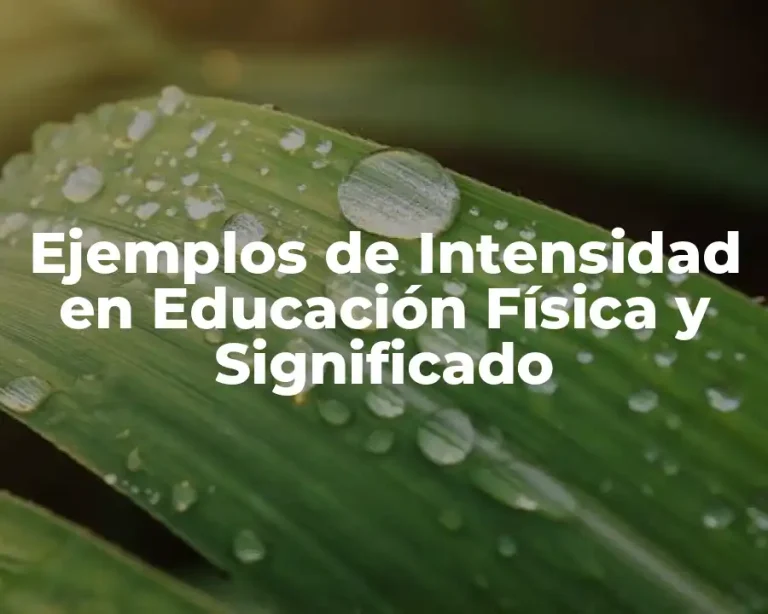 Ejemplos de Intensidad en Educación Física y Significado