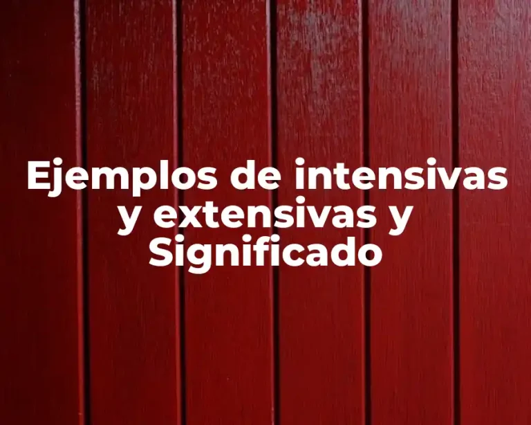 Ejemplos de intensivas y extensivas y Significado