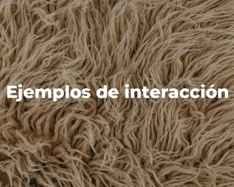 Ejemplos de interacción