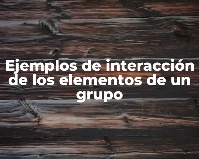 Ejemplos de interacción de los elementos de un grupo