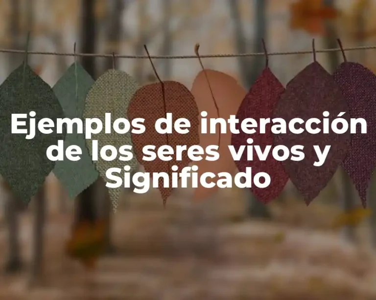 Ejemplos de interacción de los seres vivos y Significado