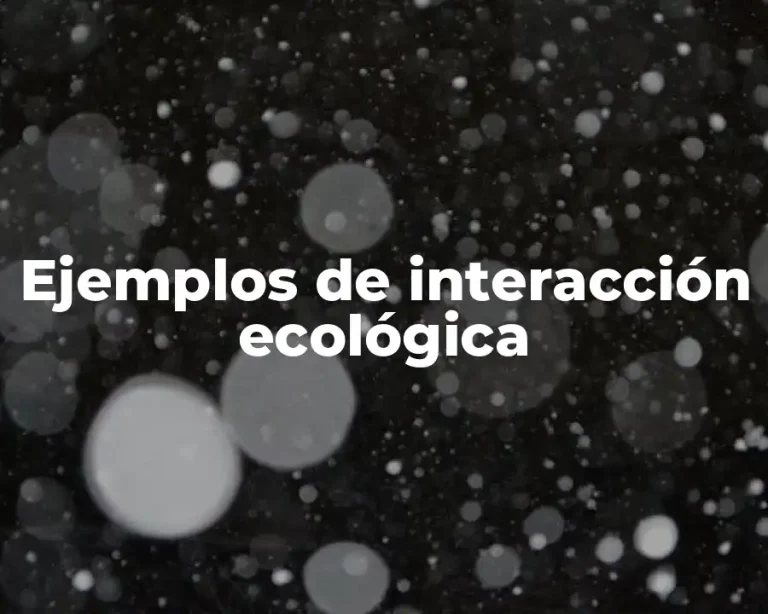 Ejemplos de interacción ecológica