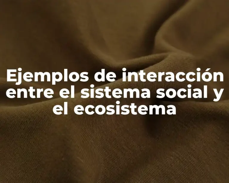 Ejemplos de interacción entre el sistema social y el ecosistema
