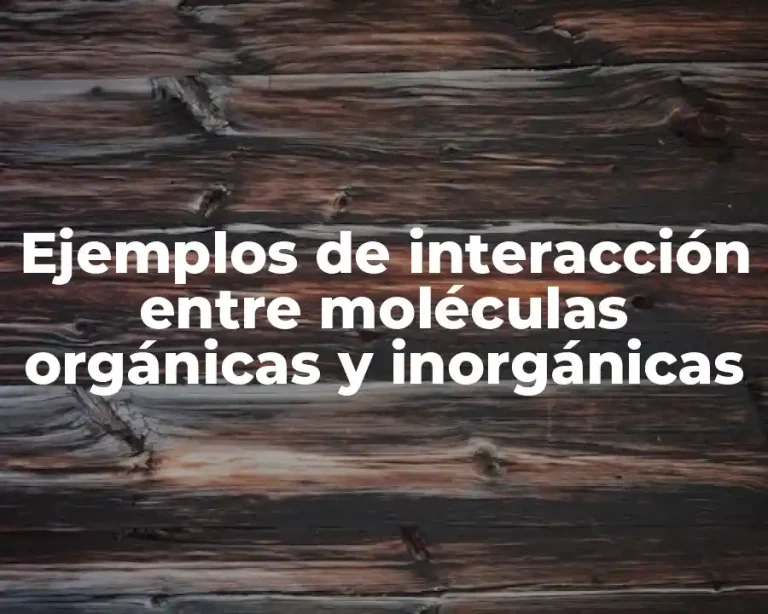 Ejemplos de interacción entre moléculas orgánicas y inorgánicas