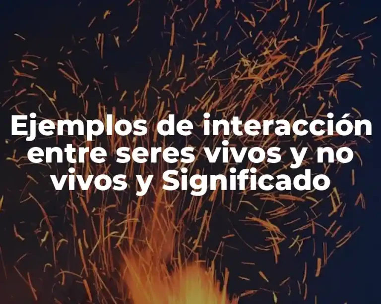 Ejemplos de interacción entre seres vivos y no vivos y Significado