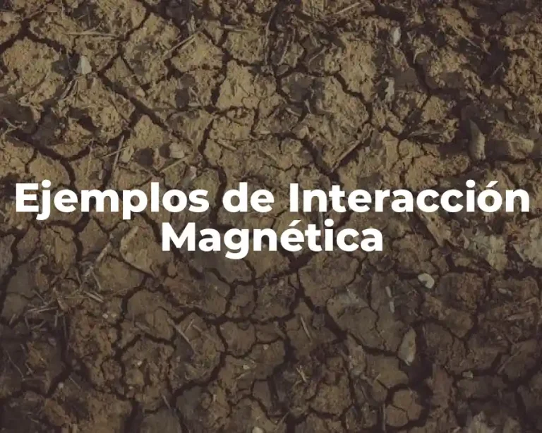 Ejemplos de Interacción Magnética