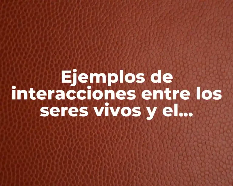 Ejemplos de interacciones entre los seres vivos y el ambiente