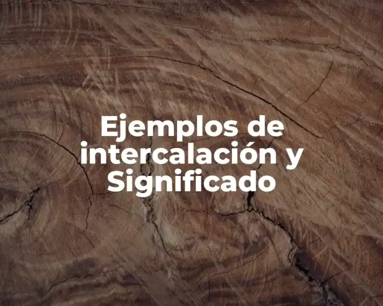 Ejemplos de intercalación y Significado