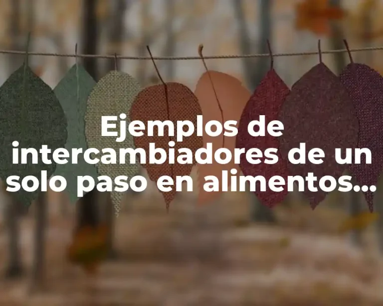 Ejemplos de intercambiadores de un solo paso en alimentos y Significado
