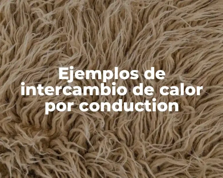 Ejemplos de intercambio de calor por conduction