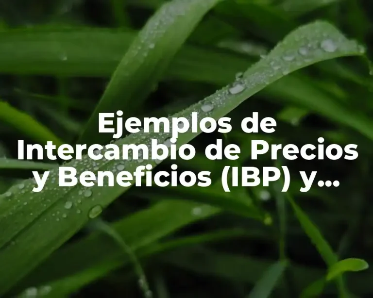 Ejemplos de Intercambio de Precios y Beneficios (IBP) y Significado