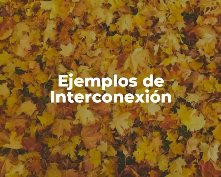 Ejemplos de Interconexión