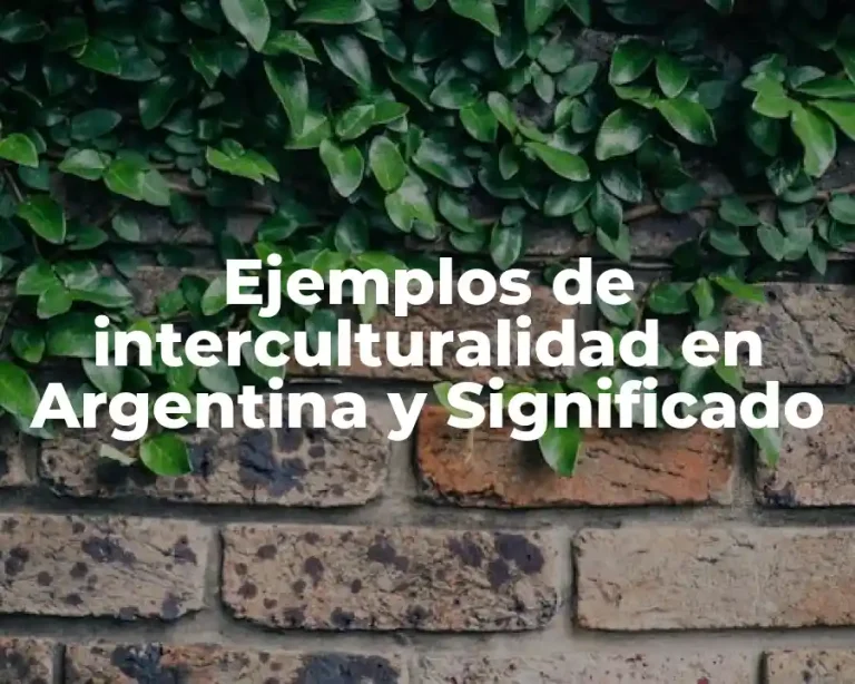 Ejemplos de interculturalidad en Argentina y Significado