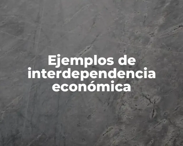 Ejemplos de interdependencia económica