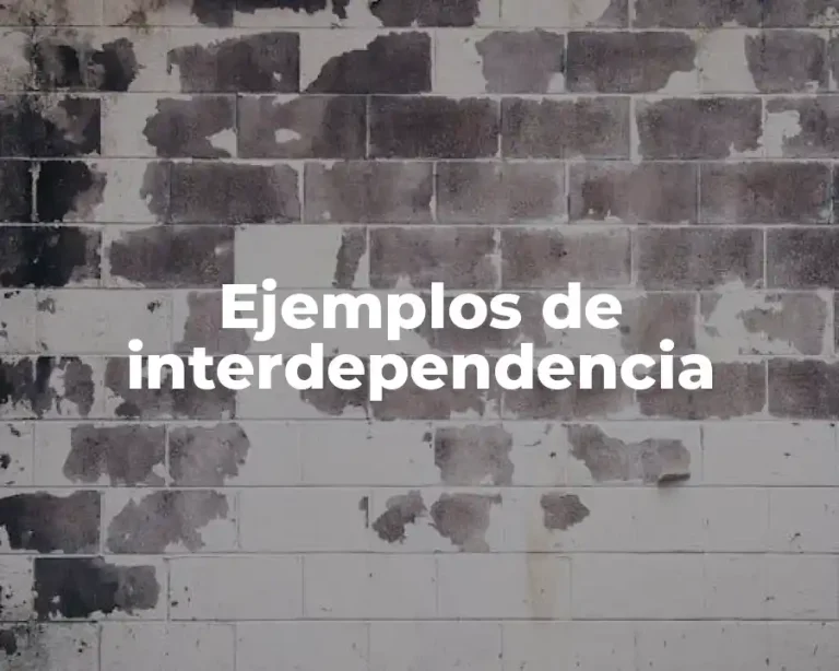 Ejemplos de interdependencia