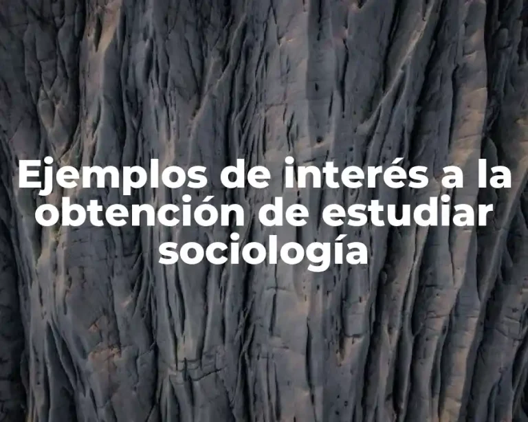 Ejemplos de interés a la obtención de estudiar sociología