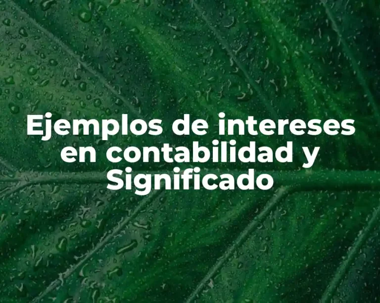 Ejemplos de intereses en contabilidad y Significado