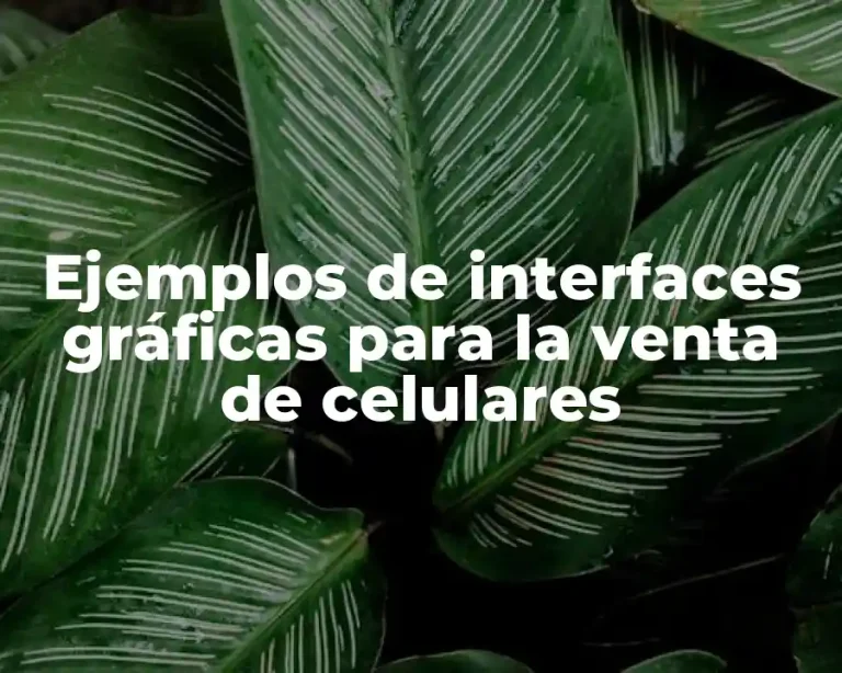 Ejemplos de interfaces gráficas para la venta de celulares