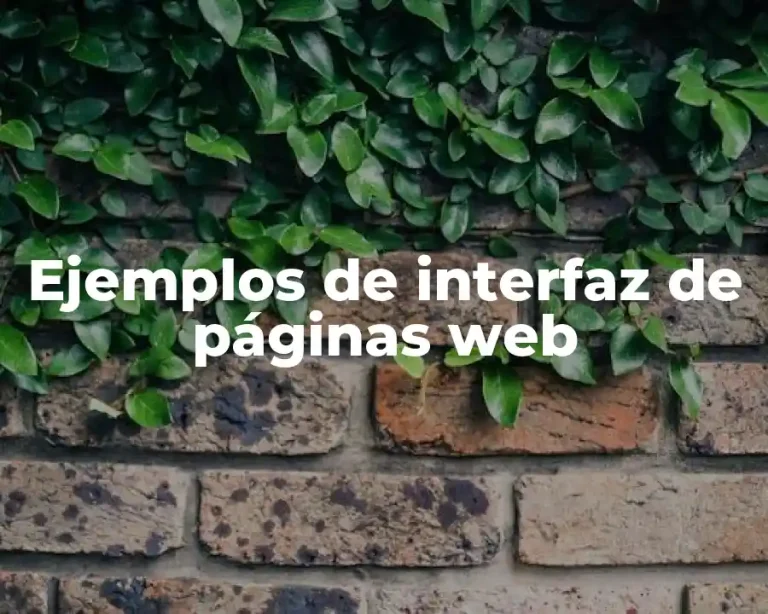 Ejemplos de interfaz de páginas web