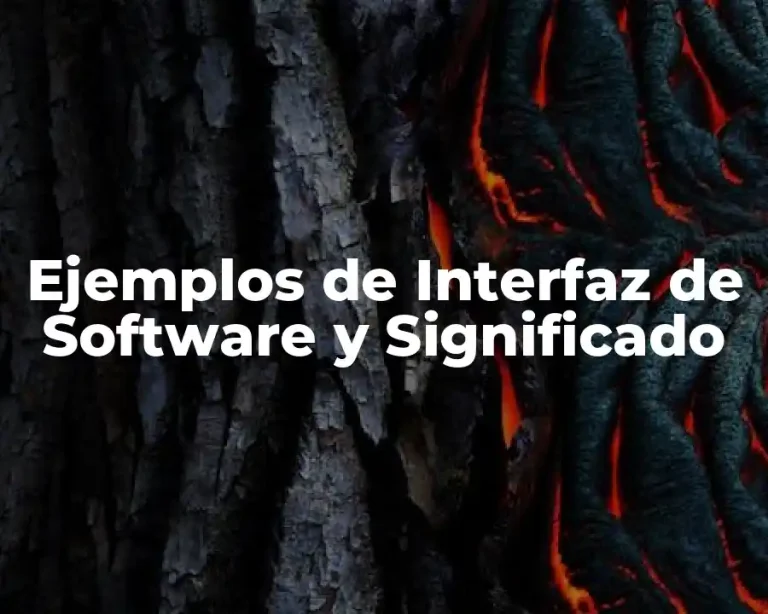 Ejemplos de Interfaz de Software y Significado