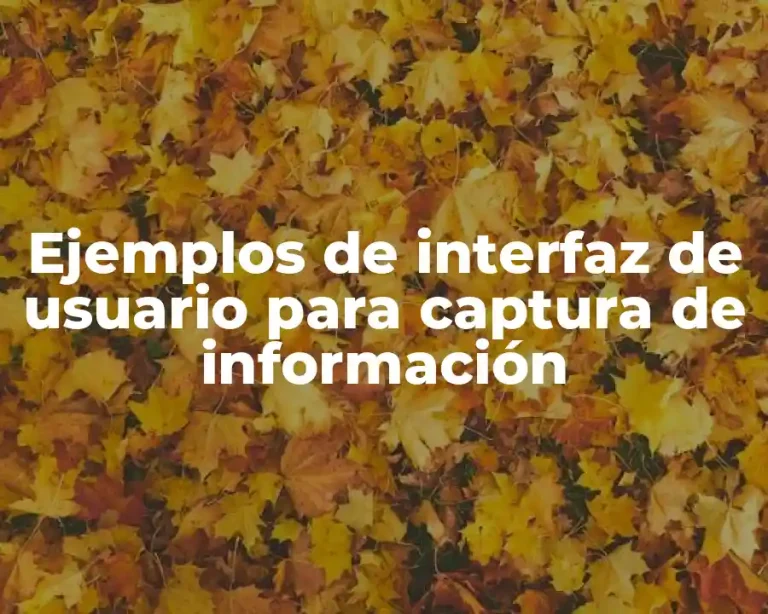 Ejemplos de interfaz de usuario para captura de información