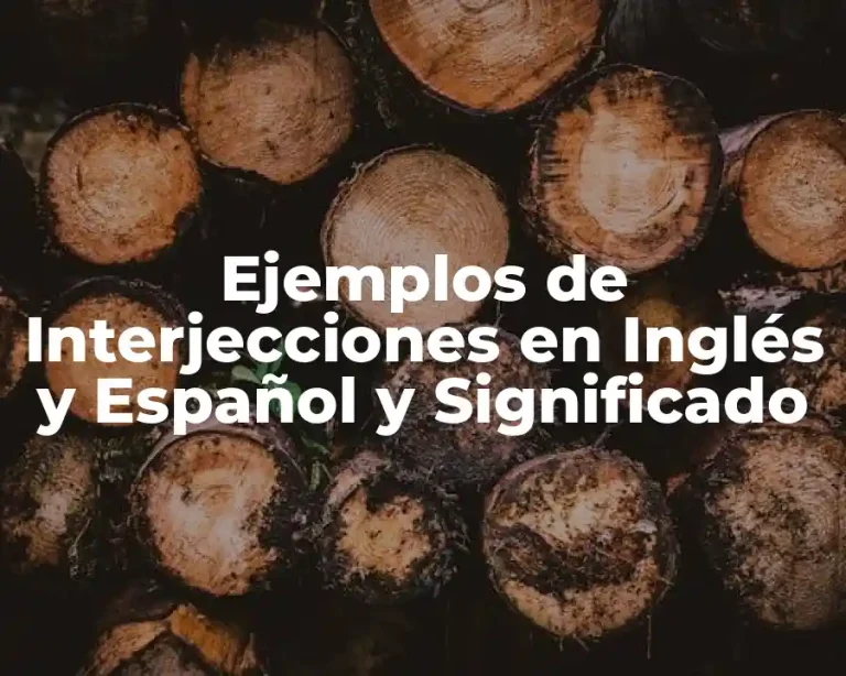Ejemplos de Interjecciones en Inglés y Español y Significado