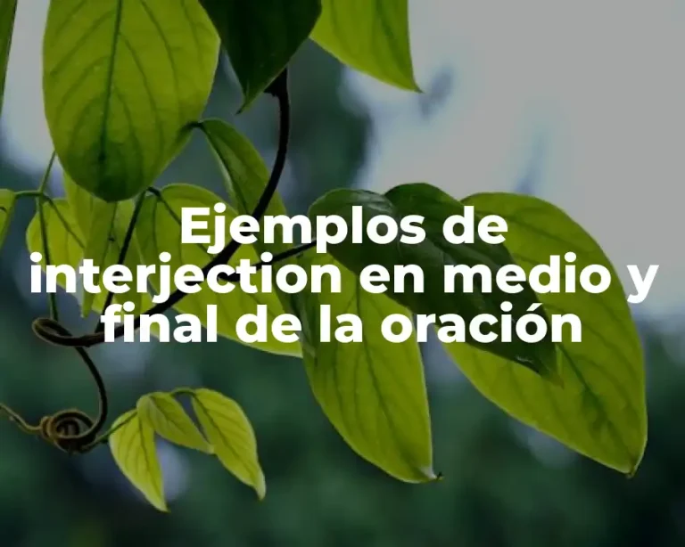 Ejemplos de interjection en medio y final de la oración