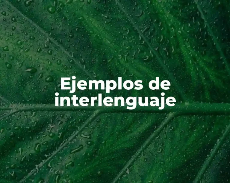 Ejemplos de interlenguaje