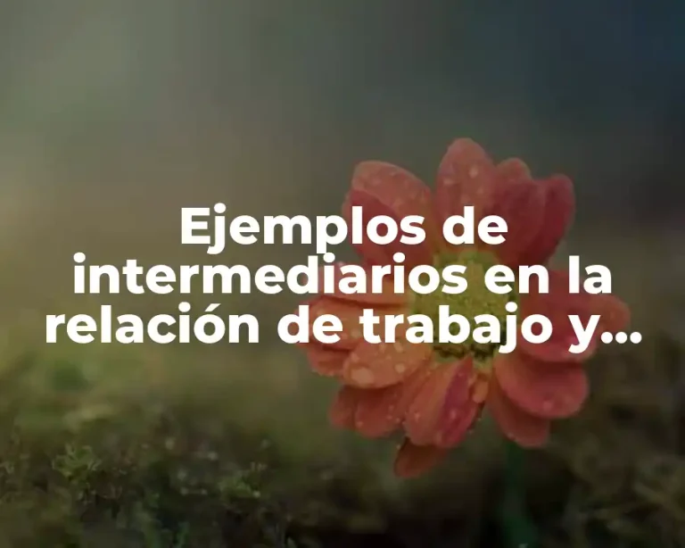 Ejemplos de intermediarios en la relación de trabajo y Significado