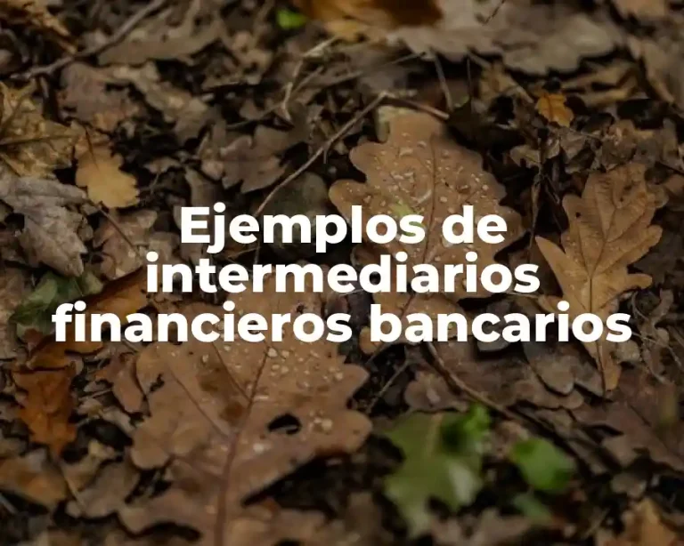 Ejemplos de intermediarios financieros bancarios