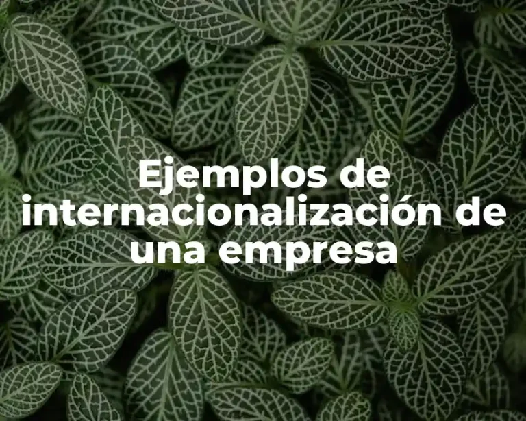 Ejemplos de internacionalización de una empresa