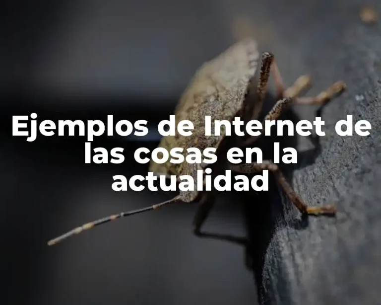 Ejemplos de Internet de las cosas en la actualidad