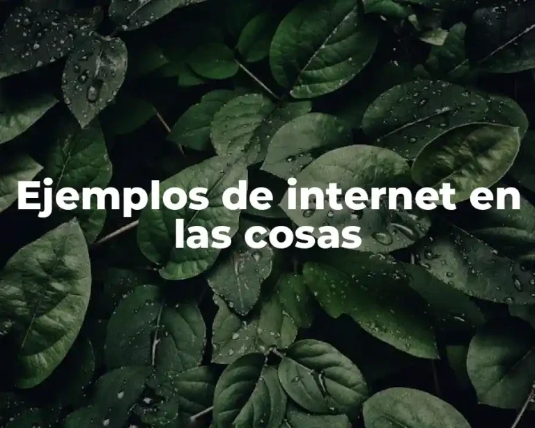 Ejemplos de internet en las cosas