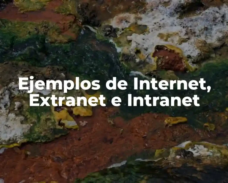 Ejemplos de Internet, Extranet e Intranet